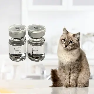 GS 441 FIP Medication For Cats